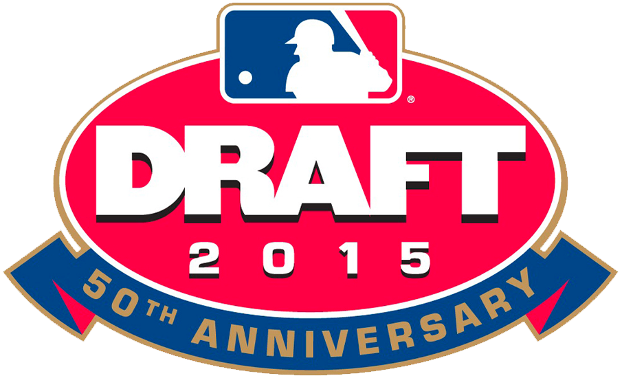 MLB Draft 2015 Primary Logo iron on transfers for T-shirts